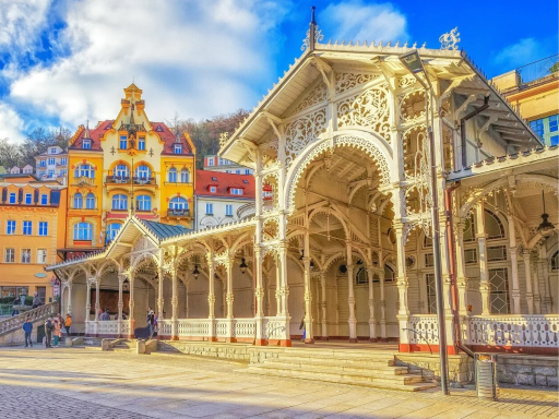 Optinal Karlovy Vary 自费卡罗维发利.png