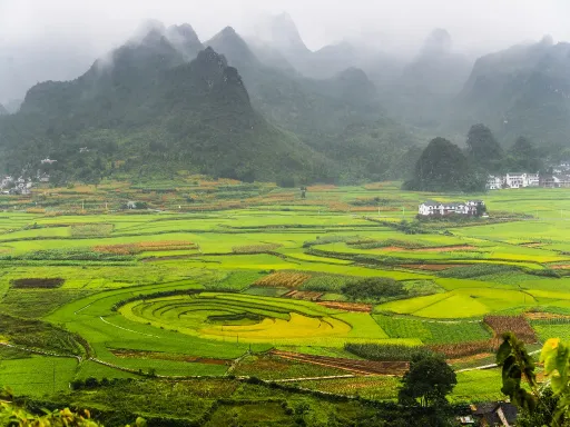 Ba Gua Field 万峰林-八卦田.png